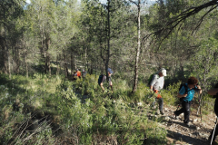 photo_13_2025-04-27_18-38-00
