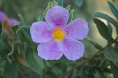 photo_14_2025-04-27_18-38-00