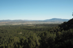 photo_21_2025-04-27_18-38-00
