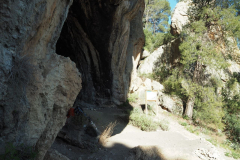 photo_22_2025-04-27_18-38-00