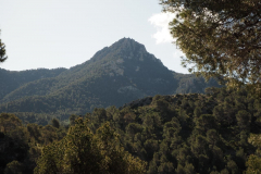 photo_23_2025-04-27_18-38-00