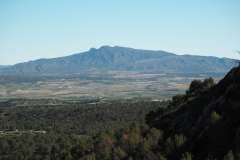 photo_24_2025-04-27_18-38-00