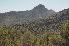 photo_25_2025-04-27_18-38-00