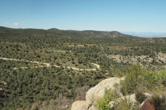 photo_28_2025-04-27_18-38-01
