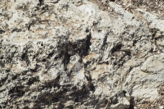 photo_29_2025-04-27_18-38-01