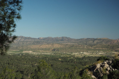 photo_2_2025-04-27_18-38-00