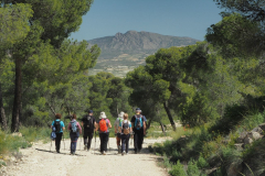 photo_30_2025-04-27_18-38-01