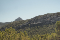 photo_31_2025-04-27_18-38-01