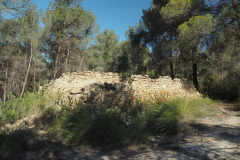 photo_3_2025-04-27_18-38-00