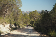 photo_7_2025-04-27_18-38-00