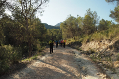 photo_8_2025-04-27_18-38-00