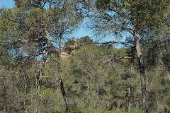 photo_9_2025-04-27_18-38-00