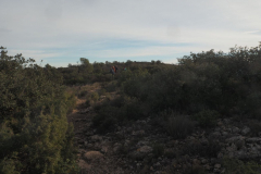 photo_10_2025-01-26_19-51-53