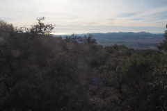 photo_13_2025-01-26_19-51-53