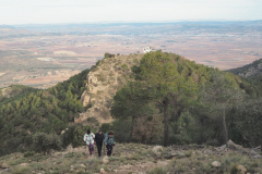 photo_14_2025-01-26_19-51-53