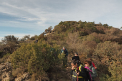 photo_15_2025-01-26_19-51-53