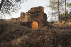 photo_1_2025-01-26_19-51-53