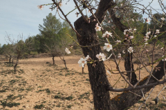 photo_21_2025-01-26_19-51-53