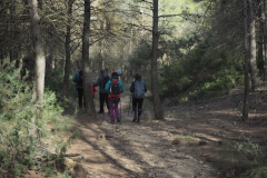 photo_22_2025-01-26_19-51-53