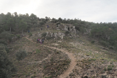 photo_23_2025-01-26_19-51-53