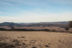 photo_25_2025-01-26_19-51-53