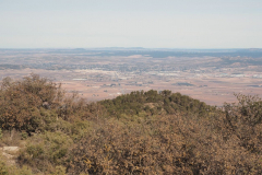 photo_26_2025-01-26_19-51-53