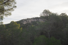 photo_29_2025-01-26_19-51-53