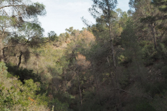 photo_2_2025-01-26_19-51-53