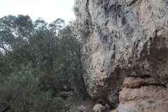 photo_30_2025-01-26_19-51-53