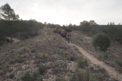 photo_31_2025-01-26_19-51-53