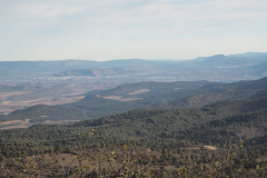 photo_34_2025-01-26_19-51-53