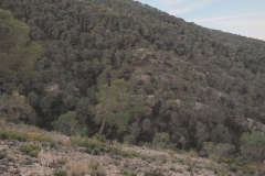 photo_35_2025-01-26_19-51-53