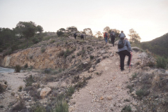 photo_36_2025-01-26_19-51-53