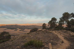 photo_37_2025-01-26_19-51-53