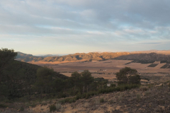 photo_38_2025-01-26_19-51-53