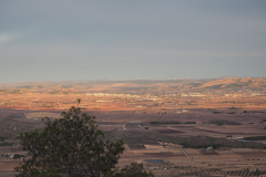 photo_39_2025-01-26_19-51-53