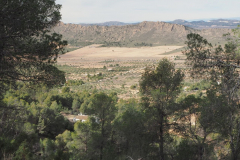 photo_3_2025-01-26_19-51-53