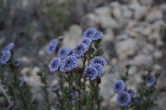 photo_41_2025-01-26_19-51-53