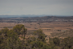 photo_4_2025-01-26_19-51-53