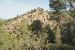 photo_5_2025-01-26_19-51-53