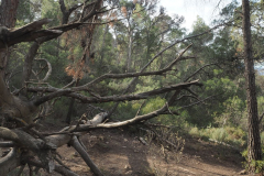 photo_6_2025-01-26_19-51-53