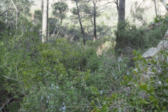 photo_7_2025-01-26_19-51-53