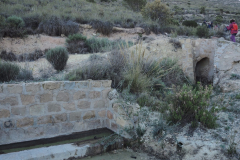 Sierra del Buey 21-04-2024