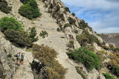 Screenshot_20210509-174646