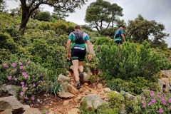 Screenshot_20210509-175126