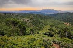 Screenshot_20210509-175524