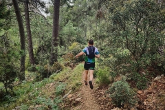 Screenshot_20210509-180838