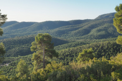 Sierra Espuña , 18-02-2024