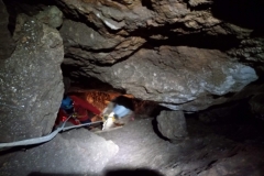 IMG_20230326_133200_804