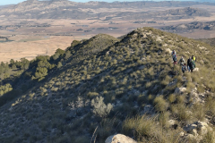 photo_11_2025-01-19_18-23-57